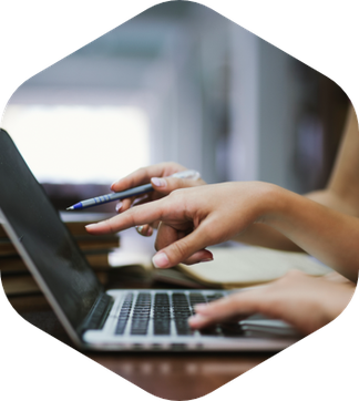 Comprehensive Overview of the Statista Business Suite for Government Clients