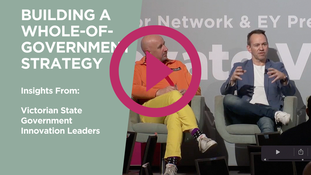 The Holistic Elements to Whole-of-Government Strategy