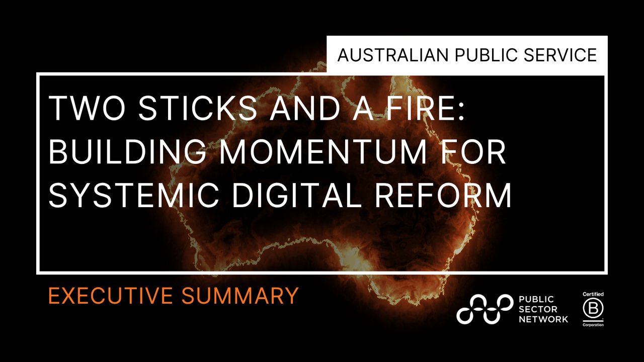 Two Sticks and a Fire: Building Momentum for Systemic Digital Reform