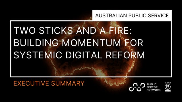 Two Sticks and a Fire: Building Momentum for Systemic Digital Reform