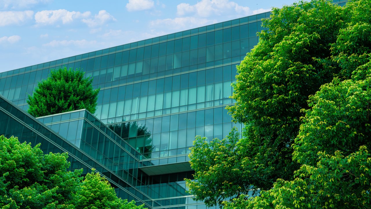 Lucy Harrington: from strategy to impact — delivering sustainability