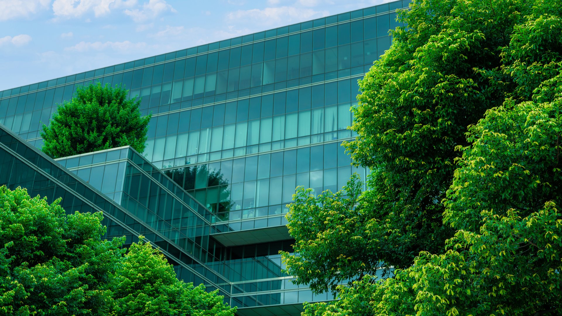 Lucy Harrington: from strategy to impact — delivering sustainability