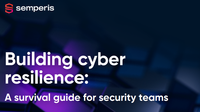Building Cyber Resilience: A survival guide for security teams