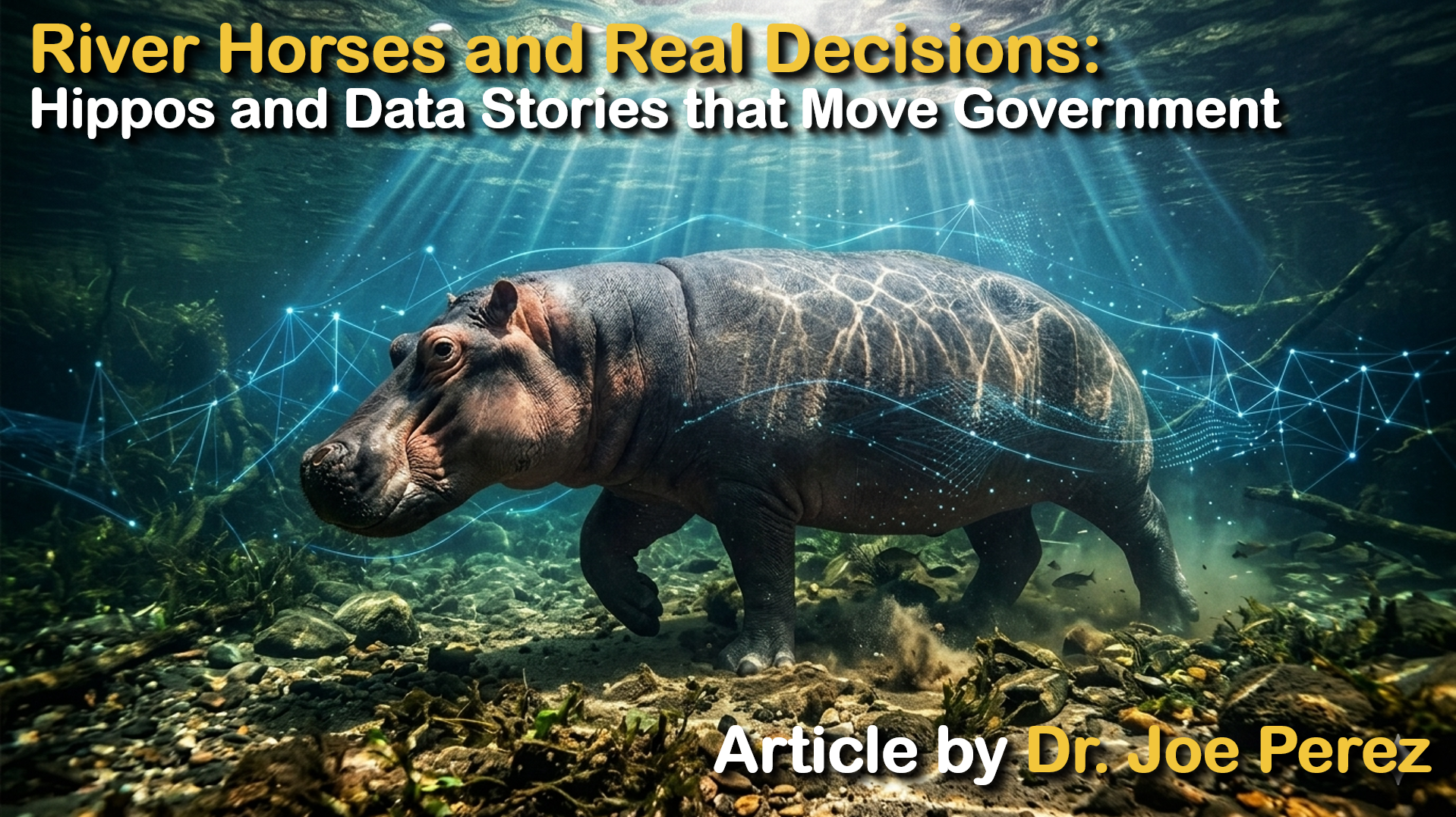 River Horses and Real Decisions: Hippos and Data Stories that Move Government