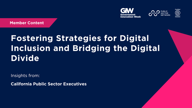 Fostering Strategies for Digital Inclusion and Bridging the Digital Divide