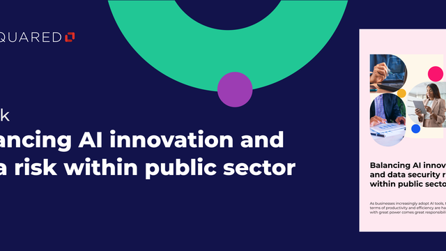 Balancing AI Innovation and Data Security Risk Within Public Sector