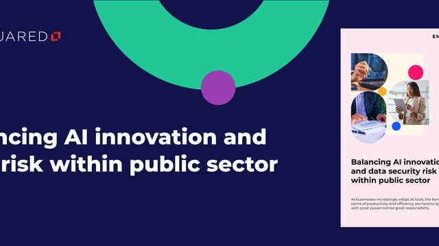 Balancing AI Innovation and Data Security Risk Within Public Sector