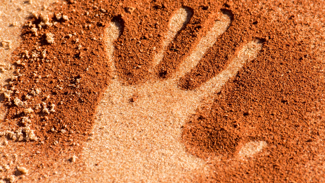 Indigenous Innovators