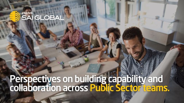 Building Workforce Capability in the Public Sector Through Flexible Training