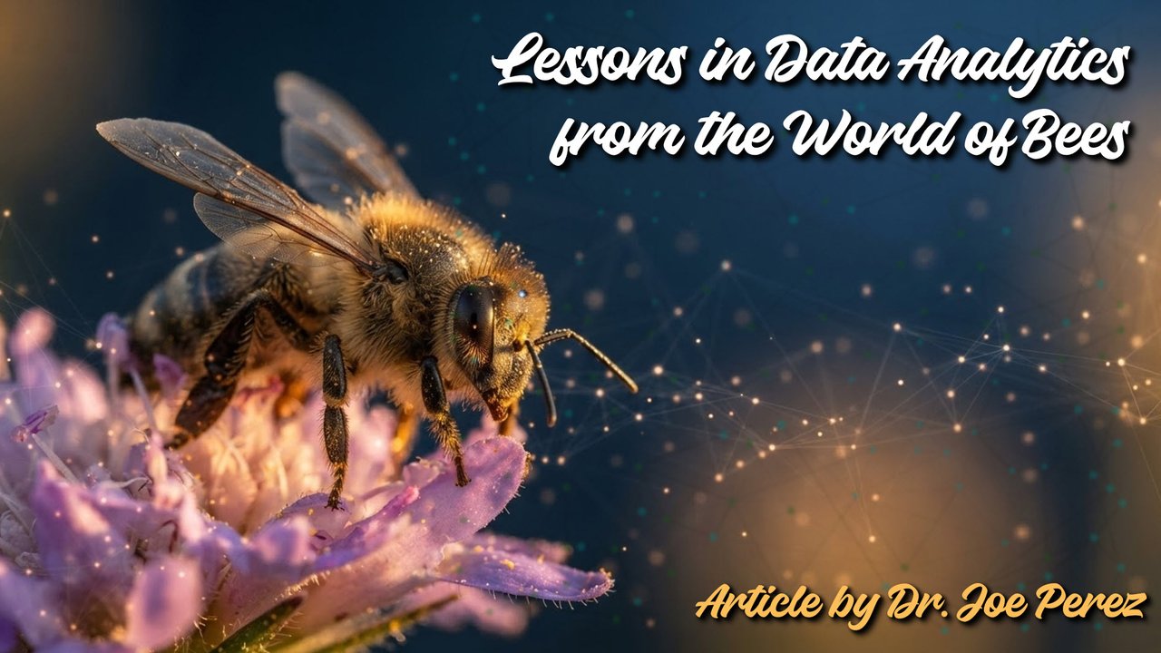 Lessons in Data Analytics from the World of Bees