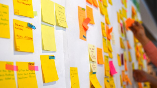 Building organisational capacity for innovation