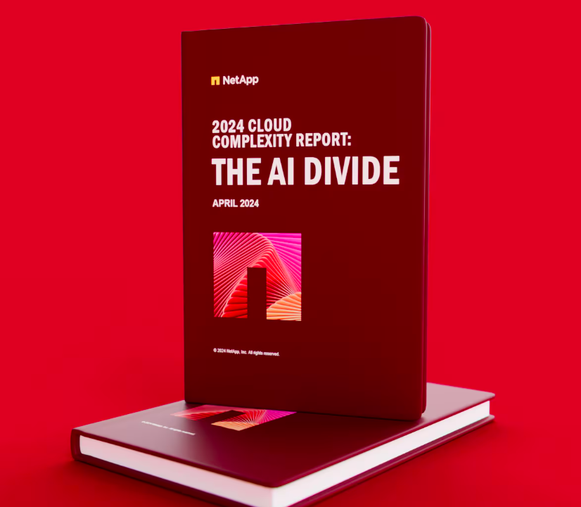 2024 Cloud Complexity Report: The AI Divide