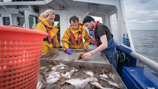 Making AI real: Setting up for success