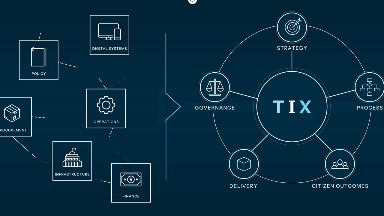 Government 3.0 Needs More Than T-Shaped Capability