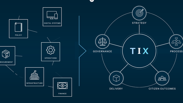 Government 3.0 Needs More Than T-Shaped Capability