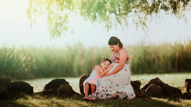 ebook: Child Support Enforcement Systems: How to Improve Program Performance