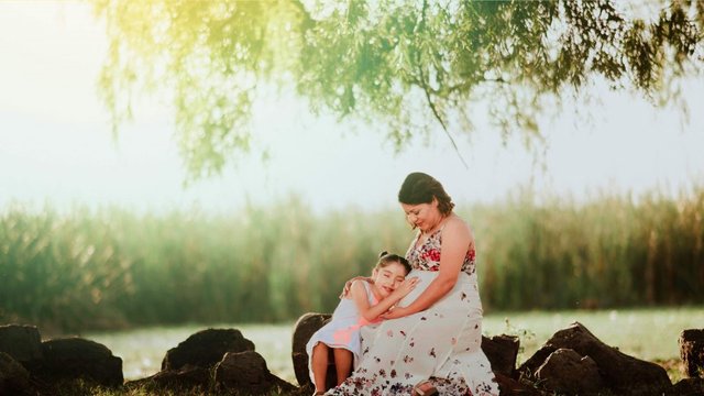 ebook: Child Support Enforcement Systems: How to Improve Program Performance