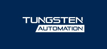 Reinventing Government Efficiency