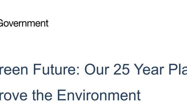 A Green Future: Our 25 Year Plan to Improve the Environment