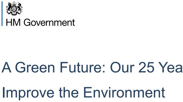 A Green Future: Our 25 Year Plan to Improve the Environment
