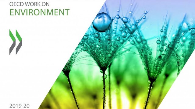 OECD Work on Environment