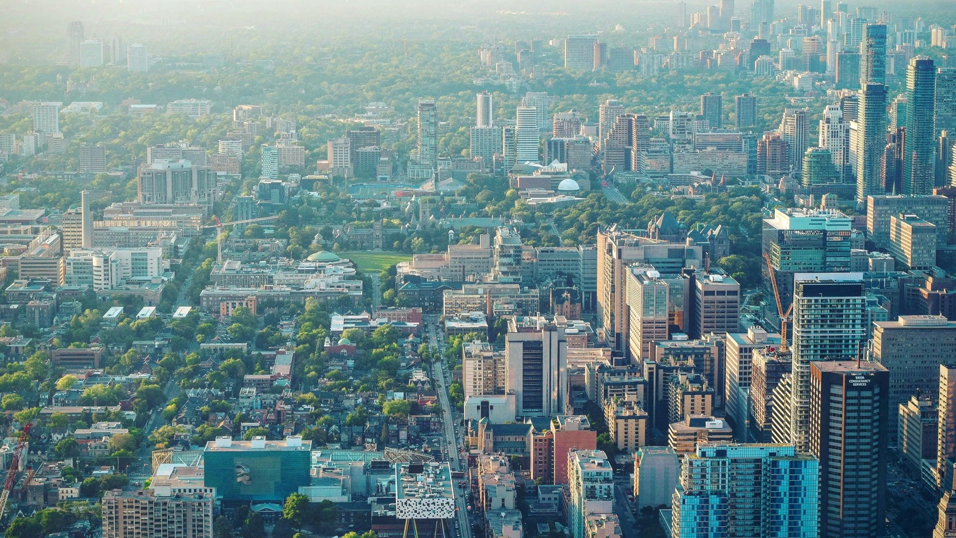 Charting the Course for Future Cities