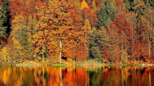 Speaker Spotlight Q&A: Wendy Geller, PhD - Division Director, Data Management & Analysis, Vermont Agency of Education