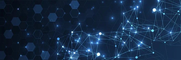 State-wide Connectivity