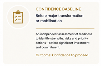 Trueline Partners Independent Assurance for Public Sector Transformations