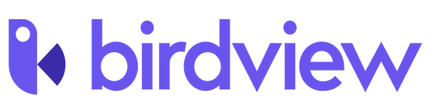 Birdview logo