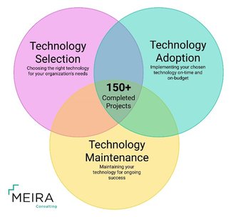 Technology Transformation for Government Organizations - A Guide to Successful Selection, Adoption, and Maintenance