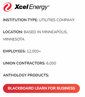 Xcel Energy Supports a Distributed and Technical Workforce Using a Transformative LMS