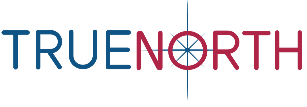 TrueNorth Software Solutions LLC